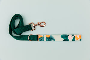 Minty Clementine Matching Dog Leash