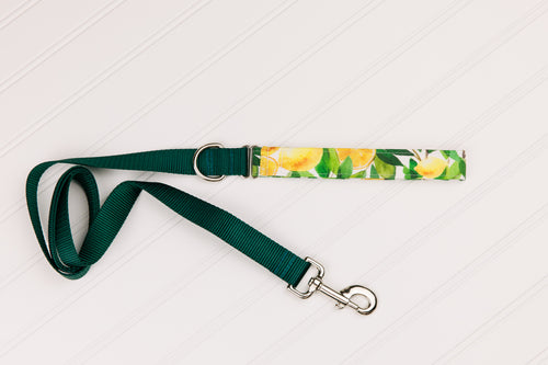 Lemons Customizable Matching Dog Leash