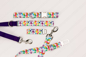 Colourful Triangles Customizable Matching Dog Leash