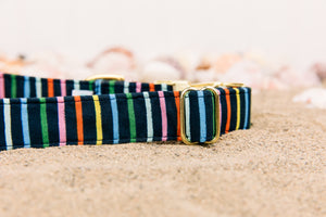 Navy Striped Dog Collar