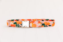Load image into Gallery viewer, Happy Oranges Water Resistant Dog Collar