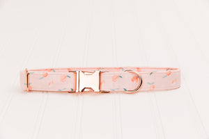 Tiny Pink Peaches Dog Collar