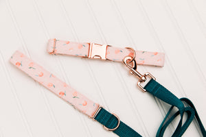Tiny Pink Peaches Matching Dog Leash