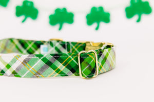 St Patrick's Day Green, White and Gold Dog Collar