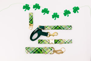 St Patrick's Day Green, White and Gold Dog Collar