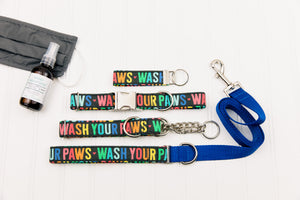 Wash Your Paws Rainbow Matching Dog Leash