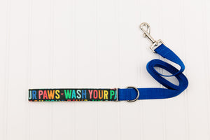 Wash Your Paws Rainbow Matching Dog Leash