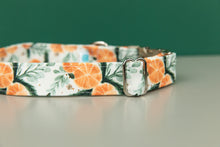 Load image into Gallery viewer, Orange Spiced Water Resistant Dog Collar