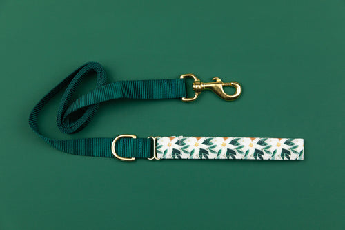 White Poinsettia Matching Dog Leash