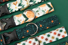 Load image into Gallery viewer, Orange Spiced Water Resistant Dog Collar