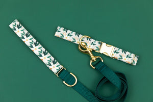 Festive White Poinsettia Water Resistant Dog Collar