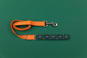 Orange Diamond Matching Dog Leash