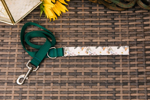 Mountain Neutrals Matching Dog Leash