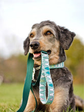 Load image into Gallery viewer, Mint Christmas Trees Dog Collar
