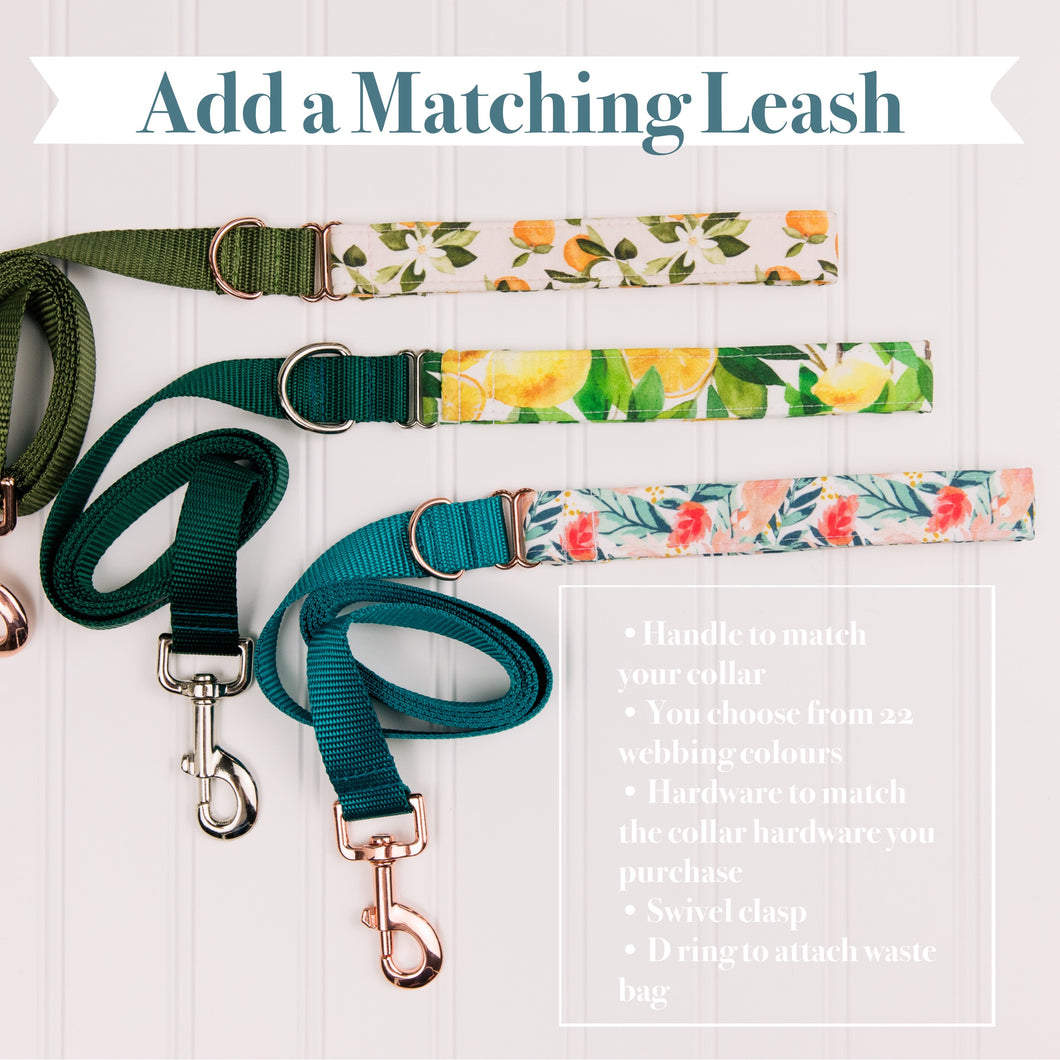 Add a Matching Leash *for small dogs*