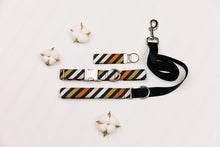 Load image into Gallery viewer, Seasonal Stripes Matching Dog Leash